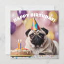 Search for two animals cards 2nd
