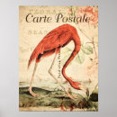 Search for vintage flamingo posters Retro