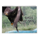 Search for birds of prey calendars Owls