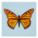 Search for flying insect posters Nature