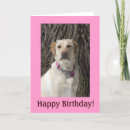 Search for hot dog birthday cards Dogs
