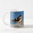 Search for swallows mugs Animal