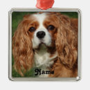 Search for breeder christmas tree decorations Dog lover