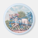 Search for dressing magnets Vintage