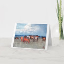 Search for ranching cards Cows