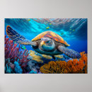 Search for turtle posters Nature