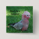 Search for galah accessories Pink and grey