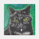 Search for gato magnets Chat