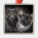 Search for russian blue cat christmas tree decorations Kitten