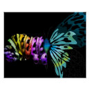 Search for metamorphosis Butterfly
