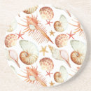 Search for shells coasters Background