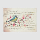 Search for cherry blossom tissue paper Blue bird