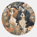 Search for cavalier stickers Dogs