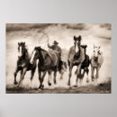 Search for chase is on the posters Photography