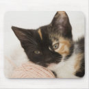 Search for lay mousepads Animal