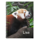 Search for panda bear notebooks Tree