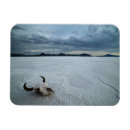 Search for salt rectangular magnets Landscape