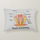 Search for tooth cushions Dental