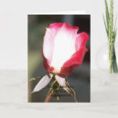 Search for engaged cards Red