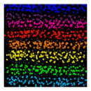 Search for rainbow colored posters Colorful