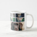 Search for cat photographer mugs Create your own