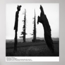 Search for ansel adams posters Mountains