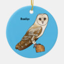 Search for barn owl christmas tree decorations Tyto alba