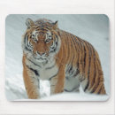 Search for tiger mousepads Snow