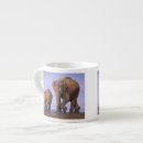 Search for asian elephant mugs Fauna