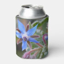 Search for borage Photography