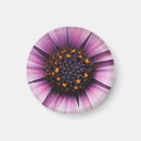 Search for macro focus Flower