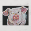 Search for piggies postcards Piggy