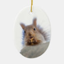 Search for mammals christmas tree decorations Funny