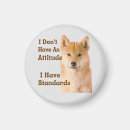 Search for with attitude magnets Funny