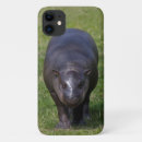 Search for hippos cases Baby