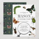 Search for butterfly party invitations Insect