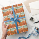 Search for canyon wrapping paper Bryce canyon national park