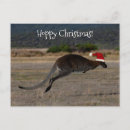 Search for hoppy christmas cards Kangaroo