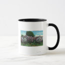 Search for rochester new york mugs Lantern