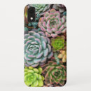 Search for cactus phone cases Succulent