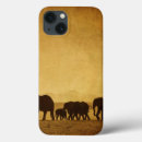 Search for calf cases African
