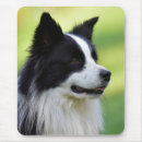Search for border collie mousepads Photography