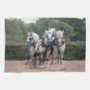 Search for percherons Plough