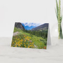 Search for path cards Wildflower
