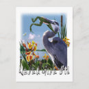 Search for giving postcards Frog