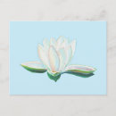 Search for the luminous postcards Floral