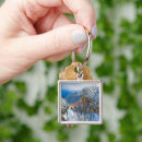 Search for tracks key rings Landscape
