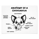 Search for chihuahua jokes Humour