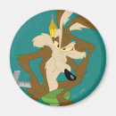 Search for wile e coyote magnets Looney tunes