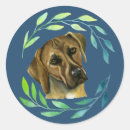 Search for rhodesian stickers Dog